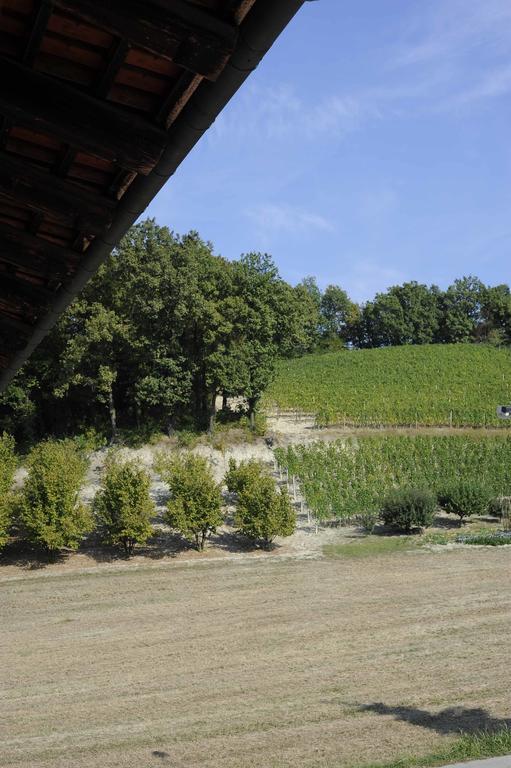 Agriturismo La Bioca カスティリオーネ・ファッレット エクステリア 写真